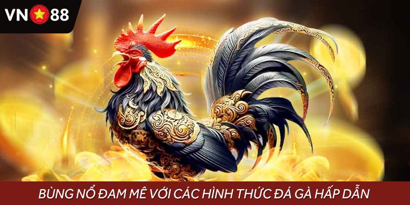 Bùng nổ đam mê với các hình thức đá gà hấp dẫn