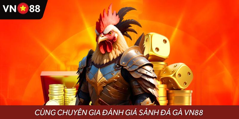 Cùng chuyên gia đánh giá dịch vụ cá cược tại sảnh đá gà VN88